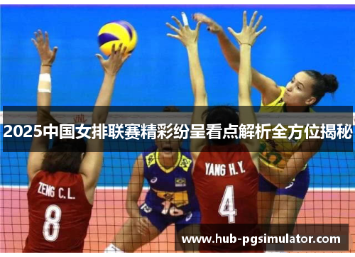 2025中国女排联赛精彩纷呈看点解析全方位揭秘